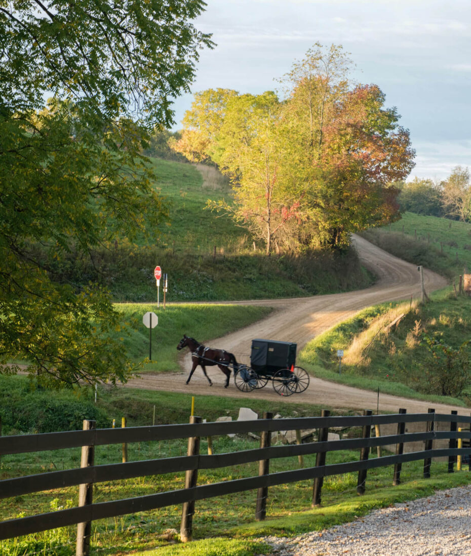 Amish Country Buggy